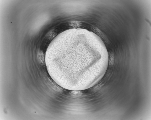 X0000101420477200807280942
