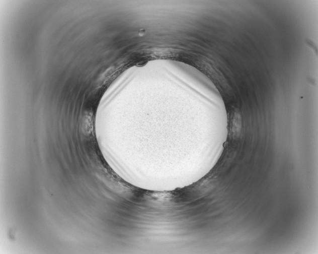 X0000101420478200807280942