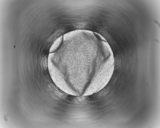 X0000101420479200807280942