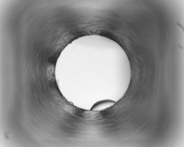X0000101420480200807280942
