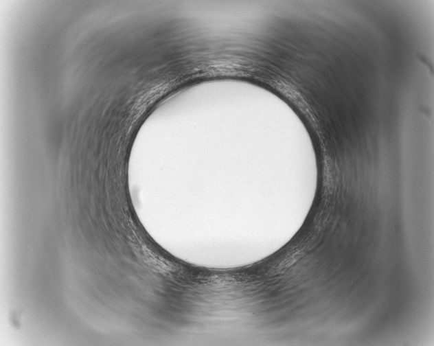 X0000101420481200807280941