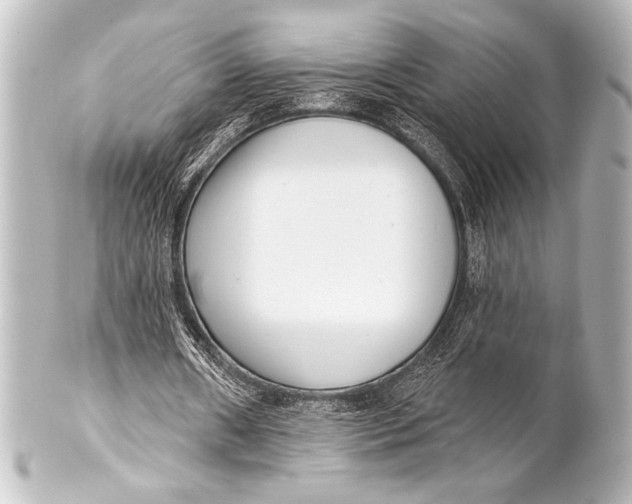 X0000101420482200807280941