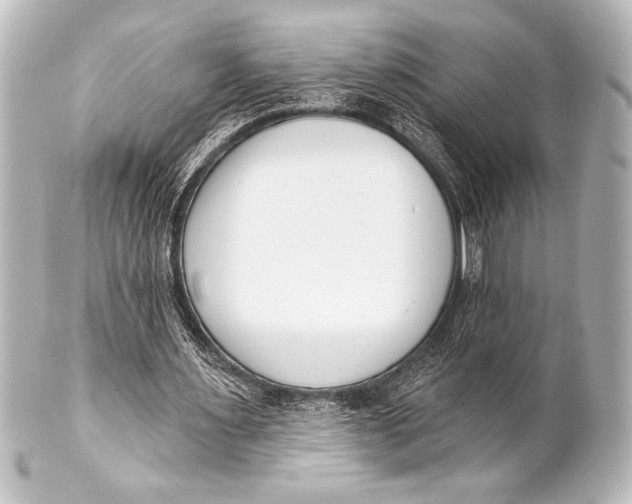 X0000101420483200807280941