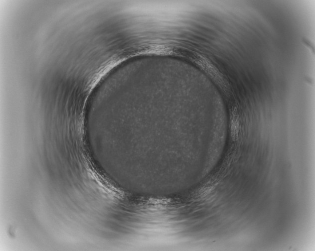 X0000101420484200807280941