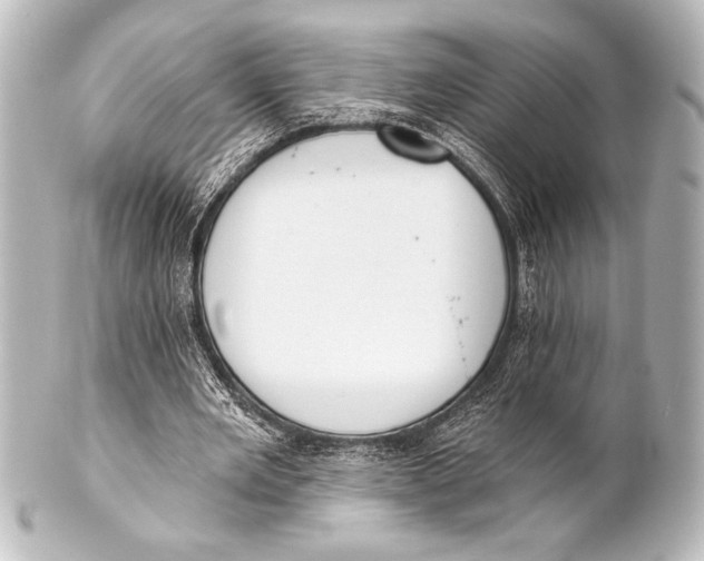 X0000101420485200807280941