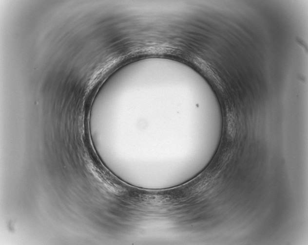 X0000101420486200807280941