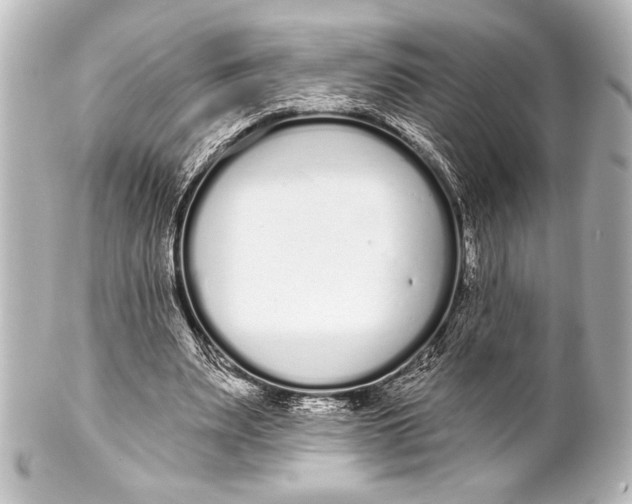 X0000101420487200807280941