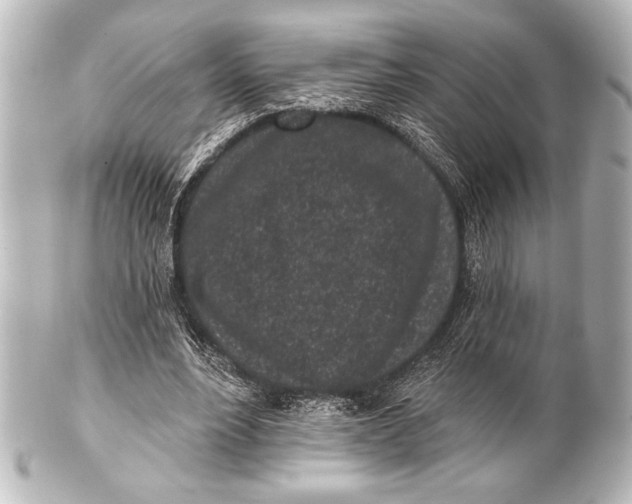 X0000101420488200807280941