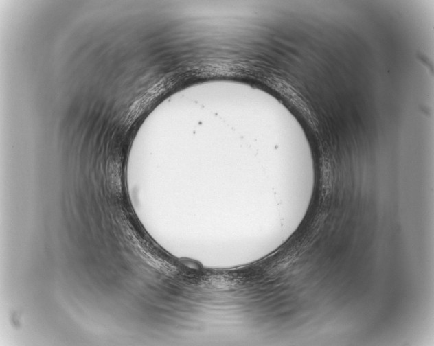 X0000101420489200807280941