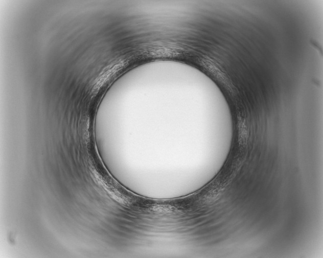 X0000101420490200807280941