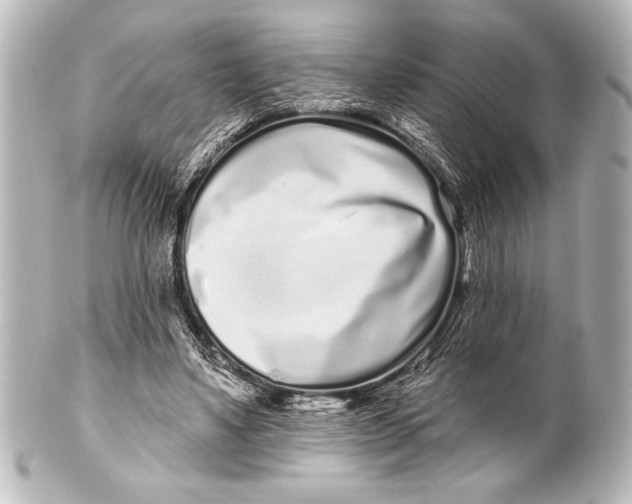 X0000101420491200807280941