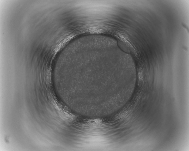 X0000101420492200807280941