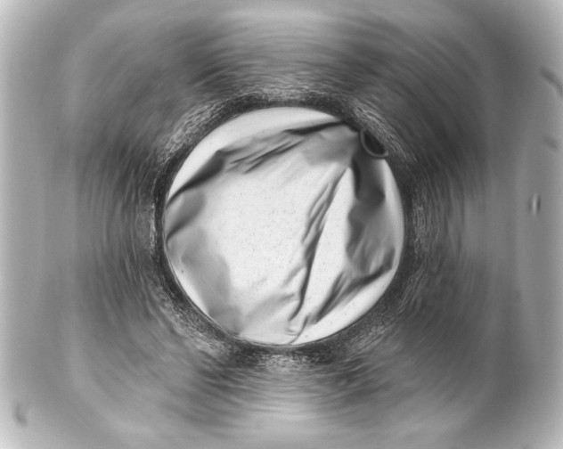 X0000101420494200807280941