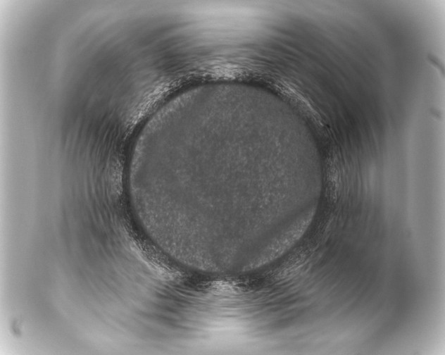 X0000101420496200807280941