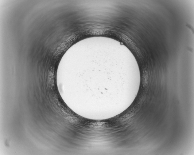 X0000101420497200807280941