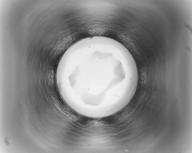 X0000101420498200807280941