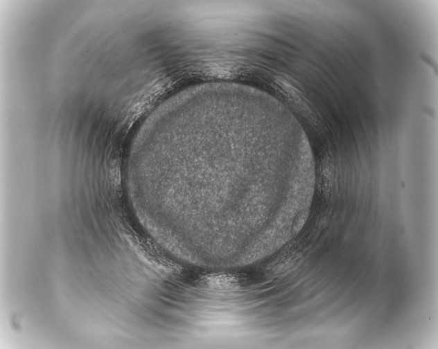X0000101420500200807280941