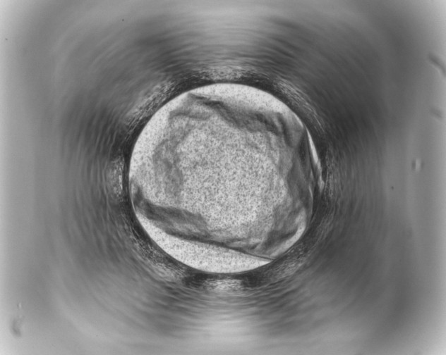 X0000101420501200807280941