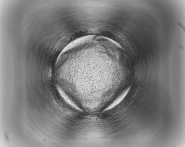 X0000101420502200807280941