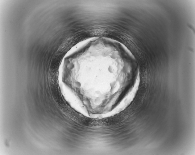 X0000101420503200807280941