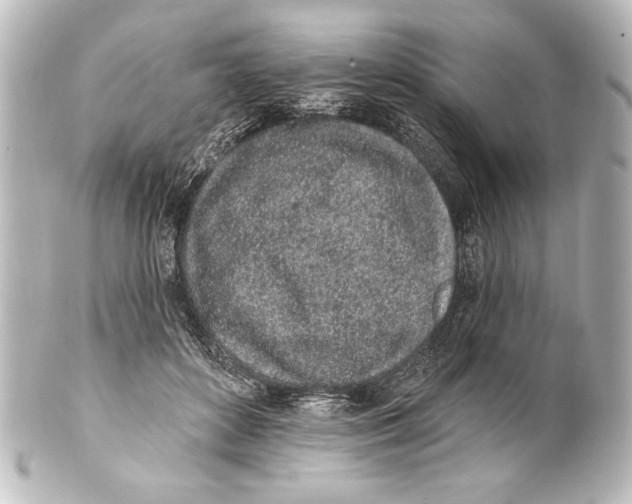 X0000101420504200807280941