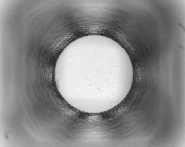 X0000101420505200807280941
