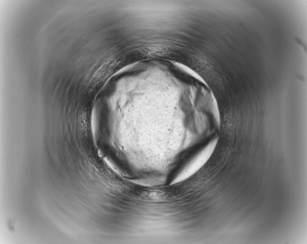 X0000101420506200807280941