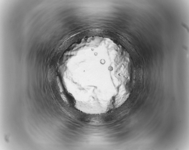 X0000101420507200807280941