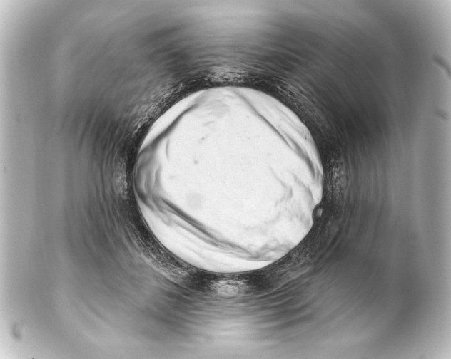 X0000101420508200807280941