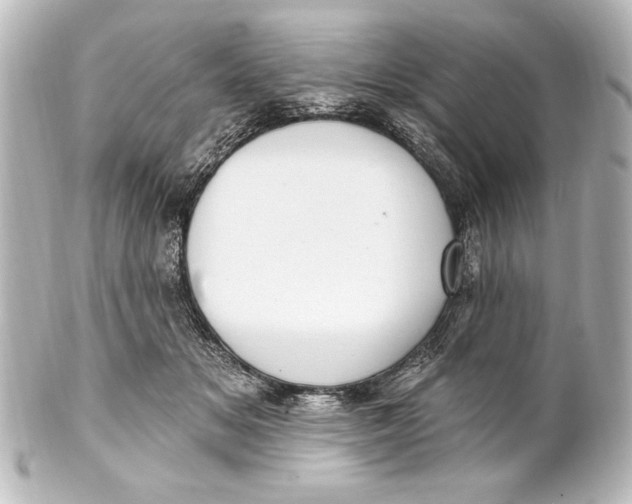 X0000101420509200807280941