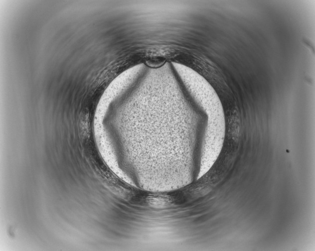 X0000101420510200807280941