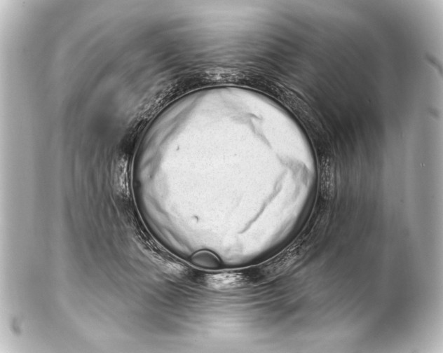 X0000101420511200807280941