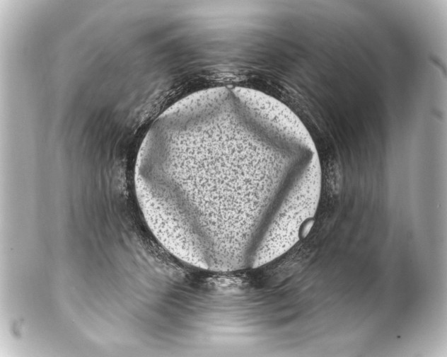 X0000101420512200807280941