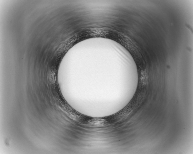 X0000101420514200807280941