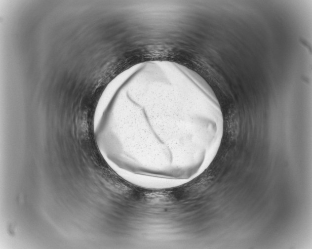 X0000101420516200807280941