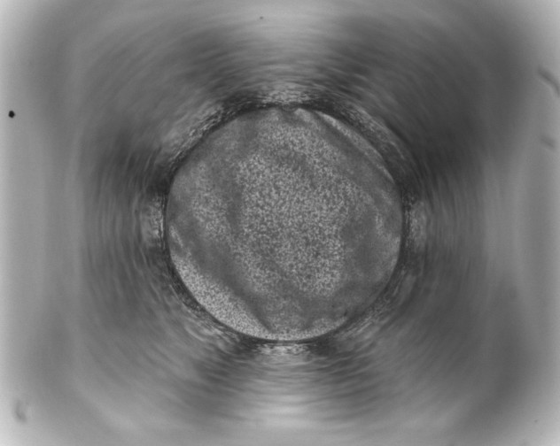X0000101420517200807280941