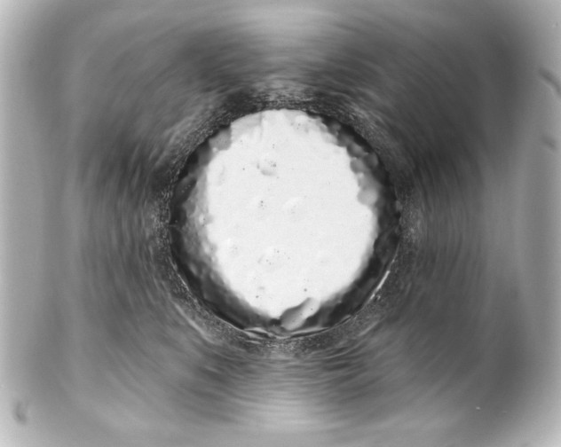 X0000101420519200807280941
