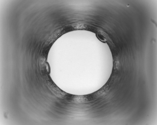 X0000101420521200807280941