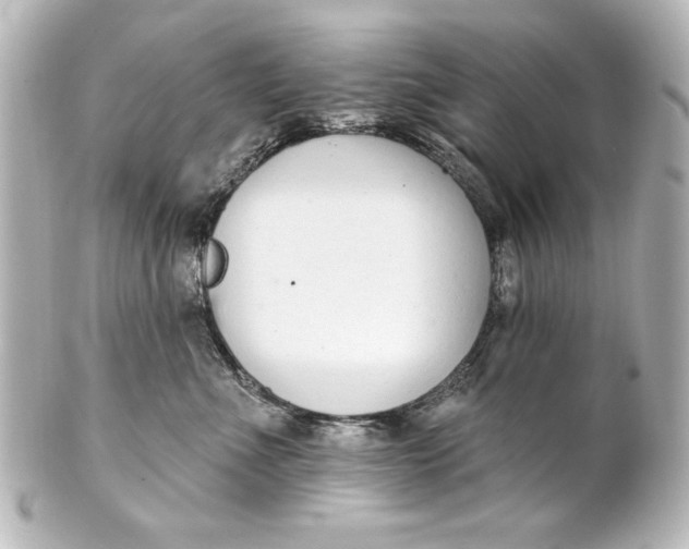 X0000101420523200807280941