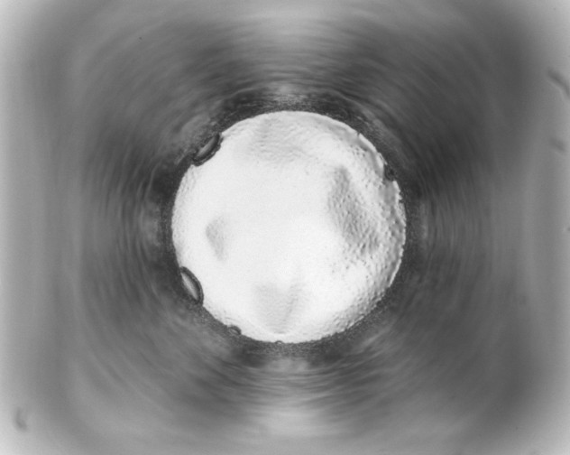 X0000101420524200807280941