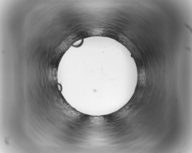 X0000101420525200807280941