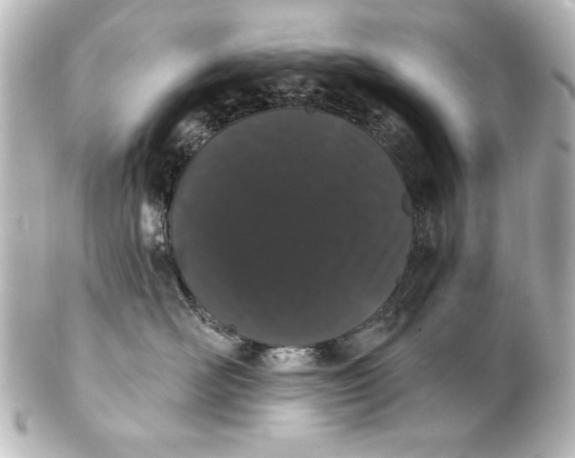 X0000101420526200807280941