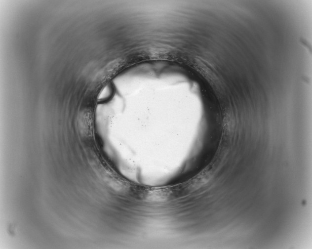 X0000101420527200807280940