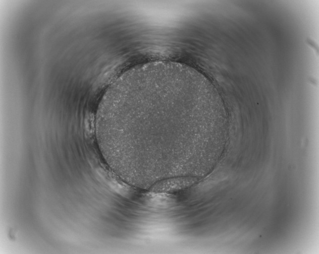 X0000101420528200807280940