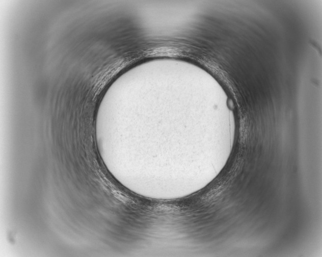 X0000101420529200807280940