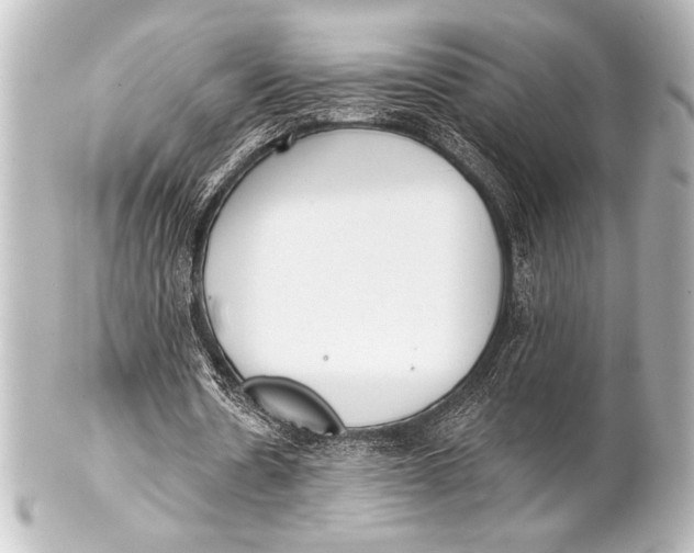 X0000101420530200807280940