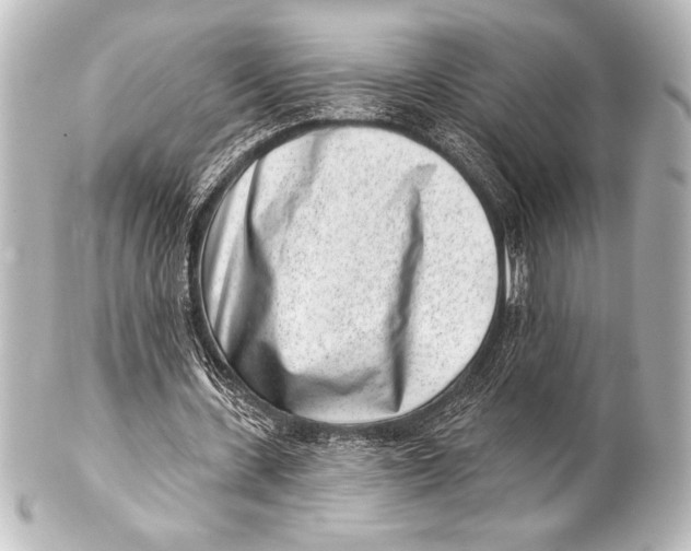 X0000101420531200807280940