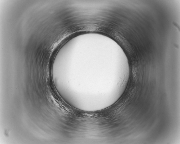 X0000101420532200807280940