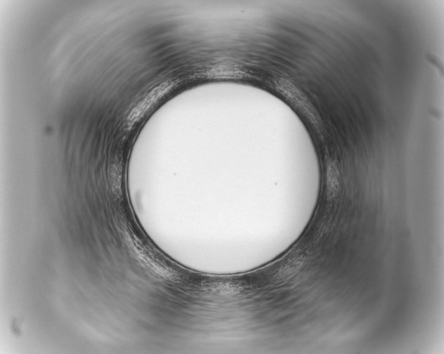 X0000101420533200807280940