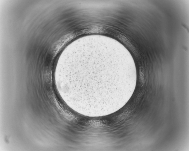 X0000101420534200807280940